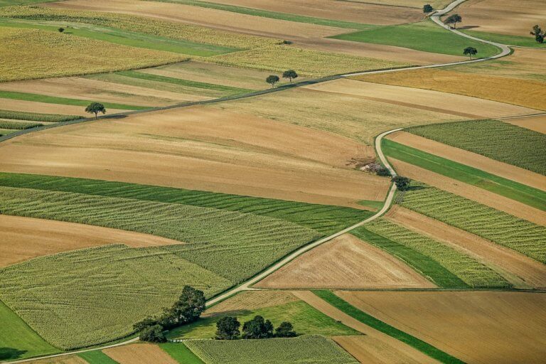 €200 million to promote European agri-food products