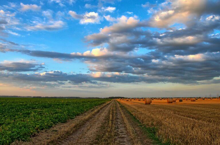UE – Prezzi dei terreni agricoli