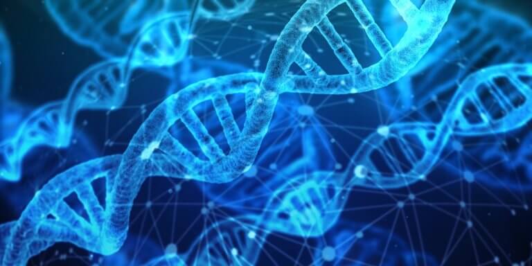 Sai se hai il DNA dell’mprenditore?